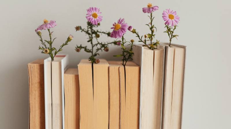 Untitled (Facebook Ad) (6)